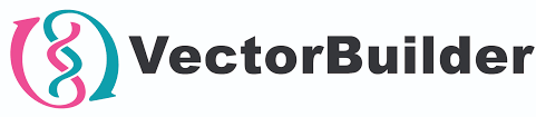 Vector Builder GmbH