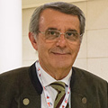 Renzo Antolini