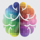 Coloured human brain