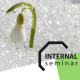 image internal seminars
