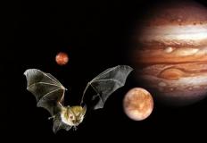 Immagine con pipistrello e pianeti sullo sfondo