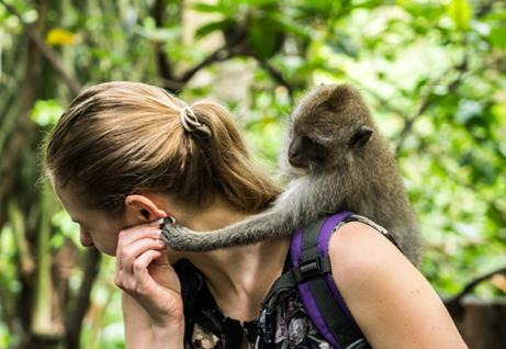 Una donna gioca con una scimmietta