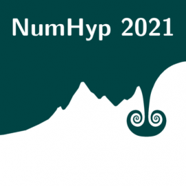 Numerical methods for hyperbolic problems, NumHyp 2021