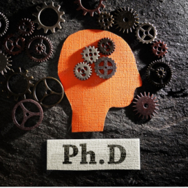 image of a head with text saying PhD
