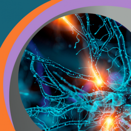 Immagine di neurone con lo sfondo colorato