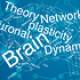 1st Summer School of Interdisciplinary Research on Brain Network Dynamics