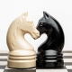 Due teste di cavallo - gioco degli scacchi