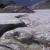 Il ghiacciaio del Careser fotografato nel 2007