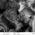 Immagine al microscopio elettronico di una schiuma solida ottenuta da una proteina estratta dalla seta (fibroina)